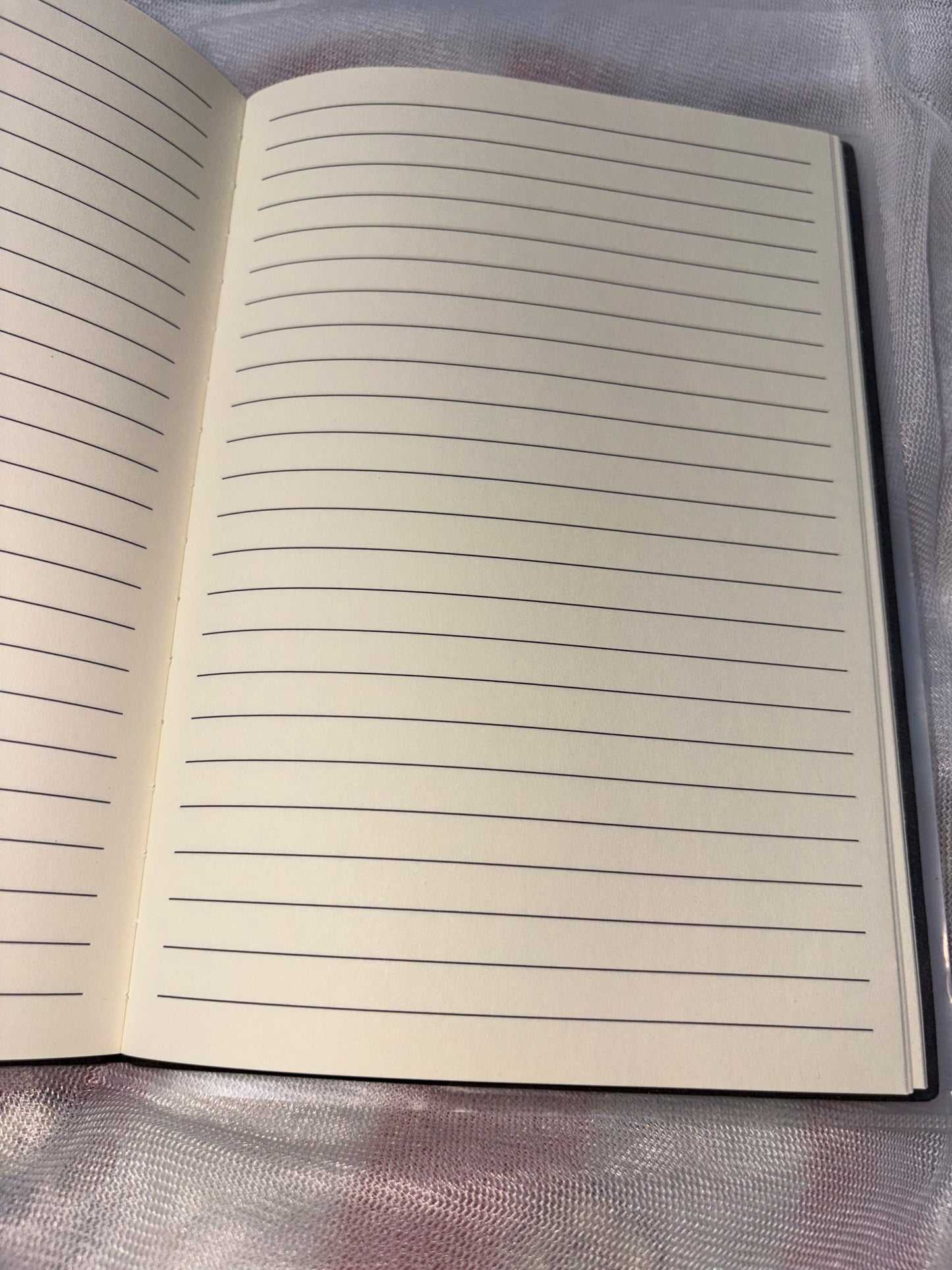 Notebooks (Lined)