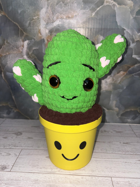 Cactus Bucket Pals
