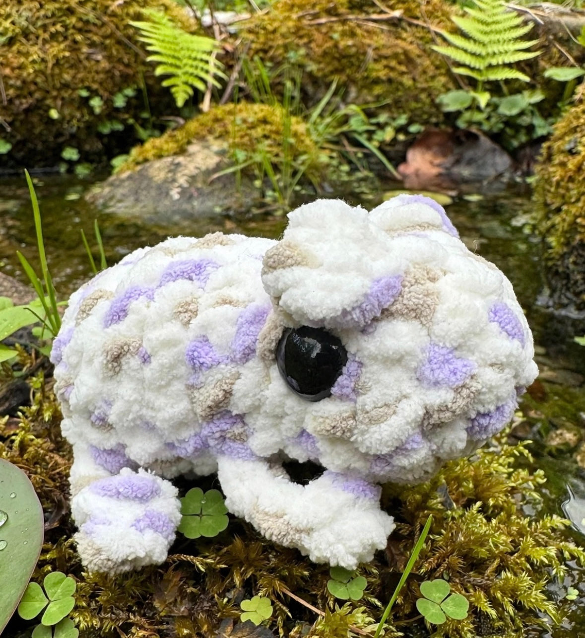 Froggies