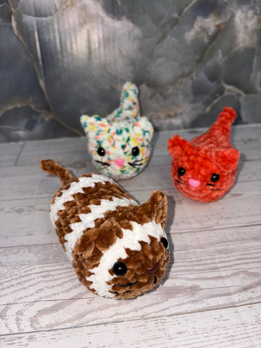 Cats!